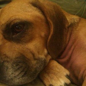 Meet your Posher, Aaron